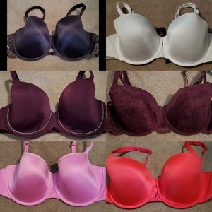 36D La Senza Bra LOT